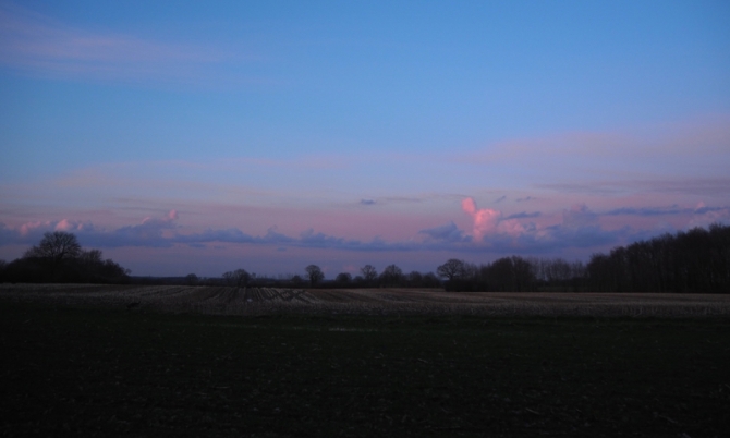 Blick übers Feld in den Abendhimmel
