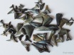 Fossile Haifischzähne